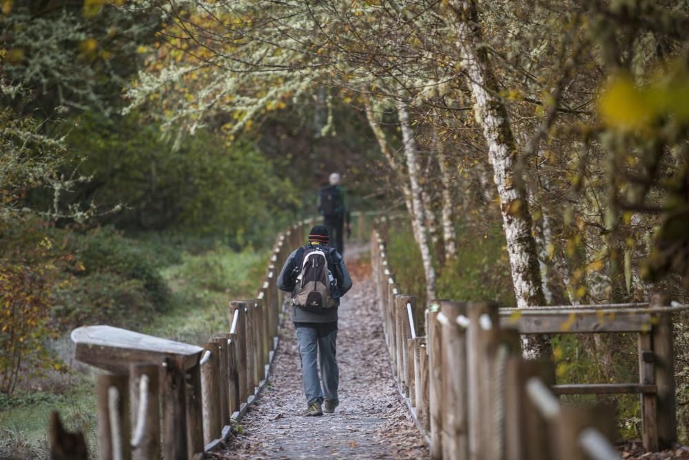 La reserva natural de Muniellos en otoño