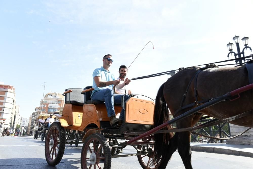 Ruta en carro al corazón de la Huerta