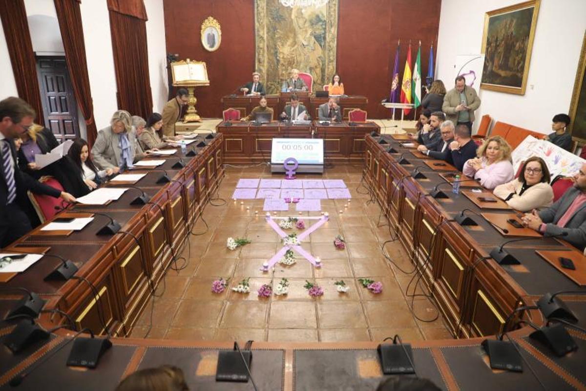 Un momento del Pleno extraordinario celebrado en la Diputación este lunes.