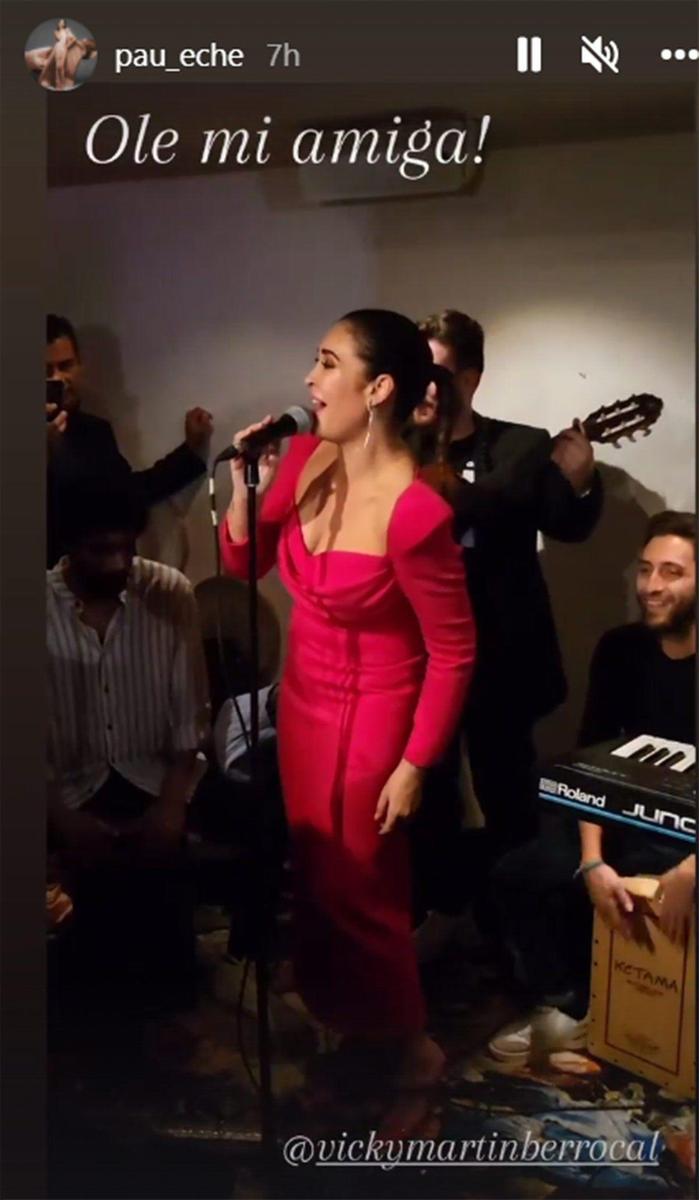 Cumpleaños de Vicky Martín Berrocal
