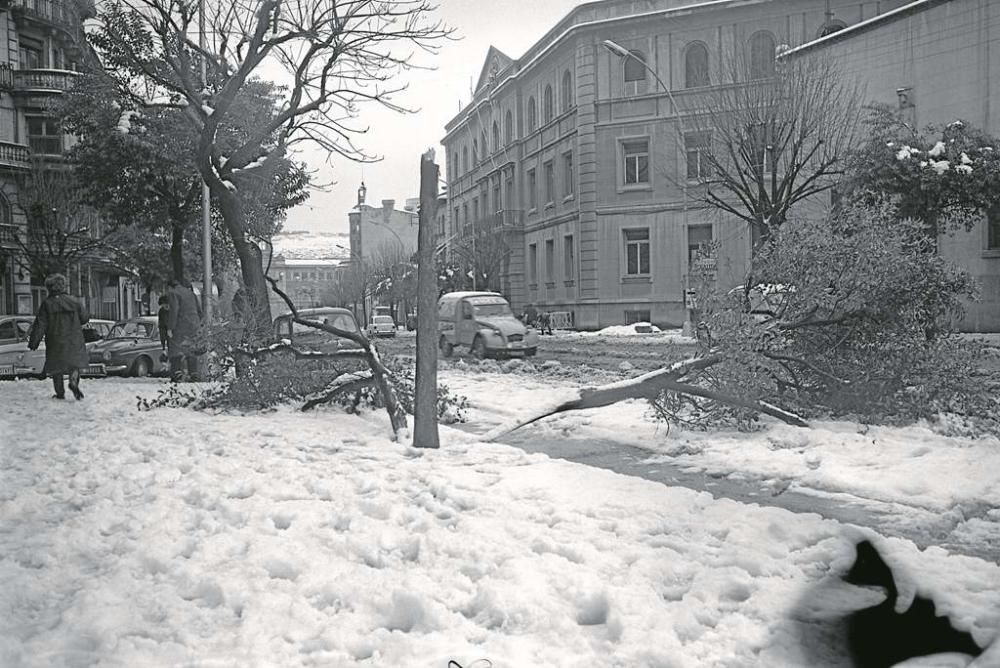 50 anys de la nevada de 1967