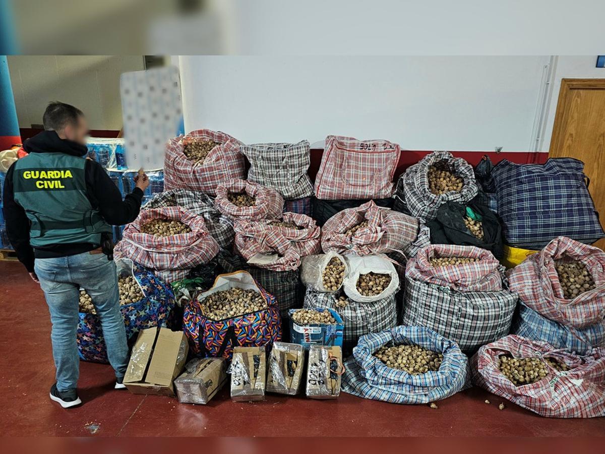 Tres detenidos por robar y enviar adormidera a España y Estados Unidos a través del aeropuerto de Alicante-Elche