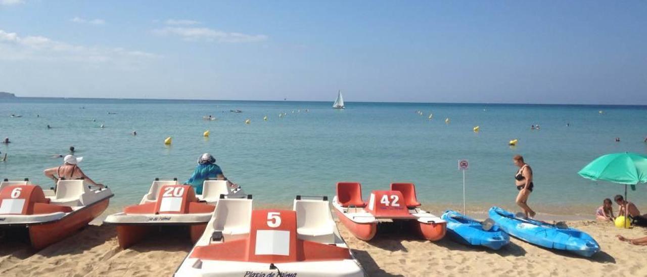 Los velomares o pedalos suelen ser alquilados por turismo familiar.