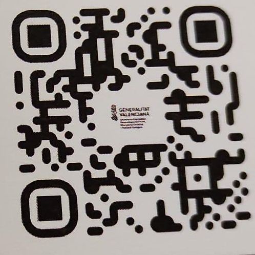 QR del visor