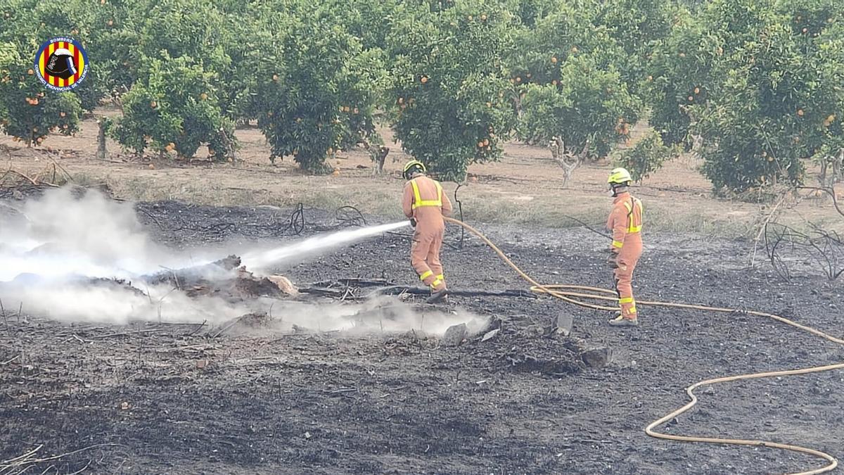 Los bomberos intentan apagar las llamas en el incendio forestal de Alzira.