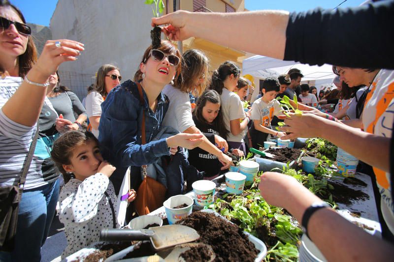 Trobada d'Escoles en Valencià en Albalat