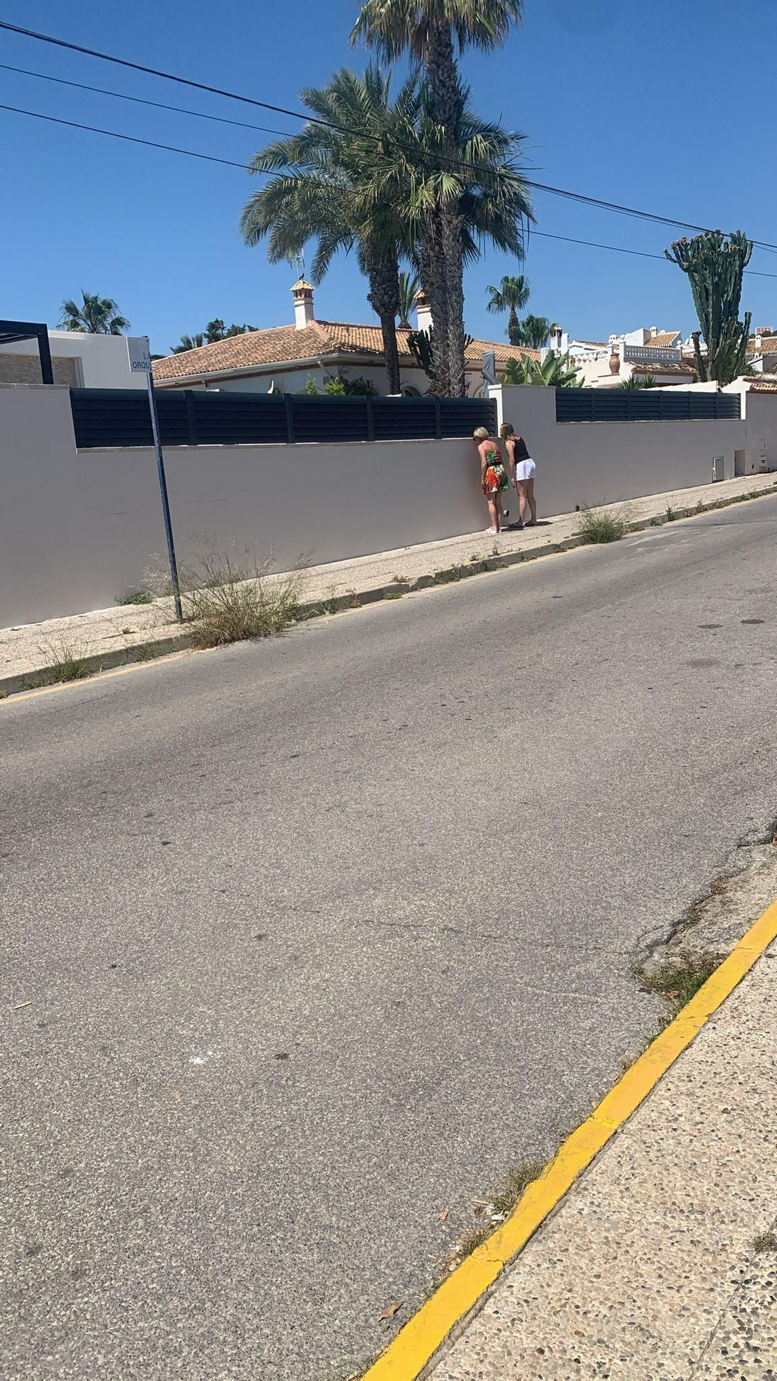 Una jungla sobre el asfalto de Orihuela Costa