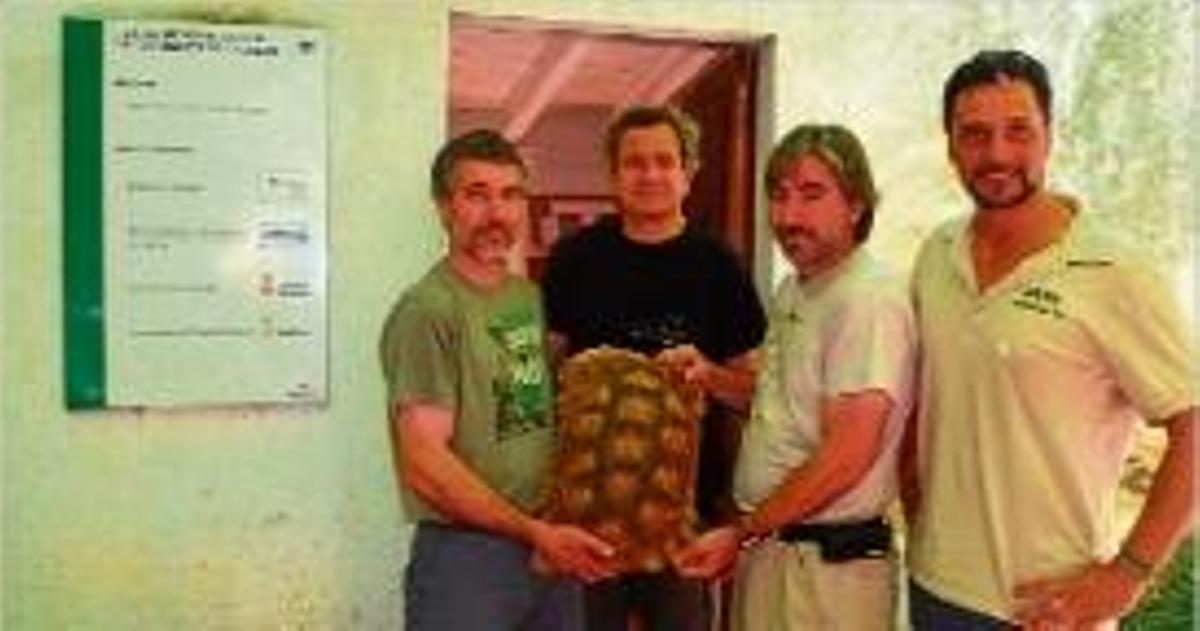 El nou exemplar de la tortuga africana que s'ha cedit al centre.