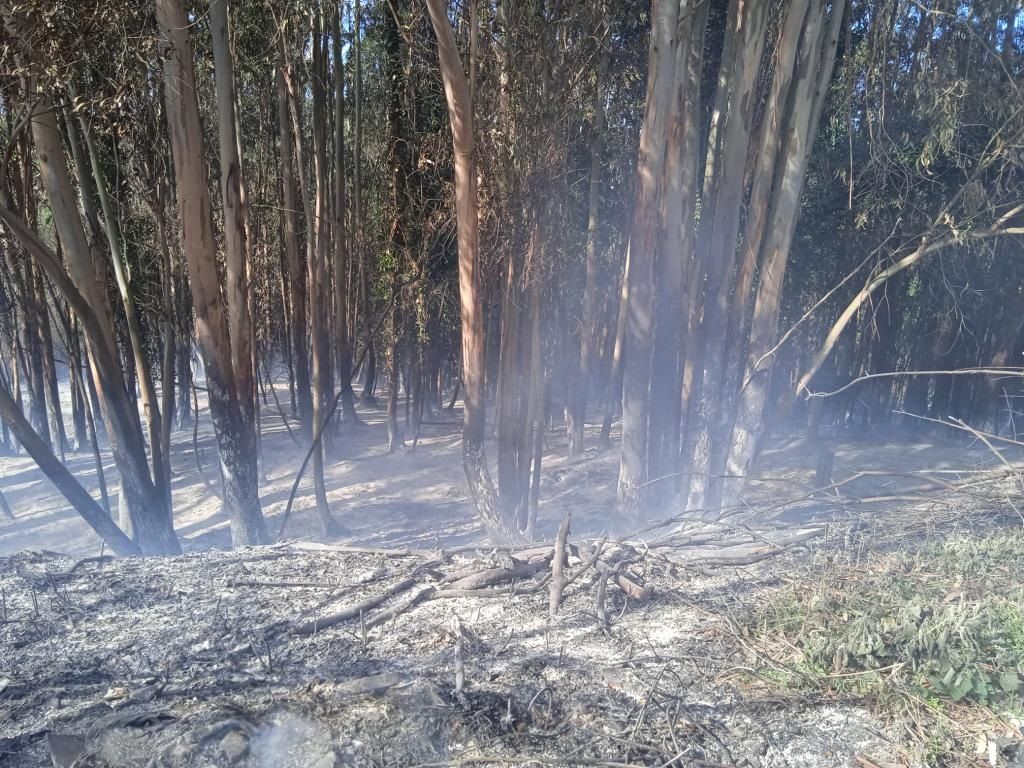 En imágenes: Los bomberos de Gijón sofocan un incendio en la playa de Serín