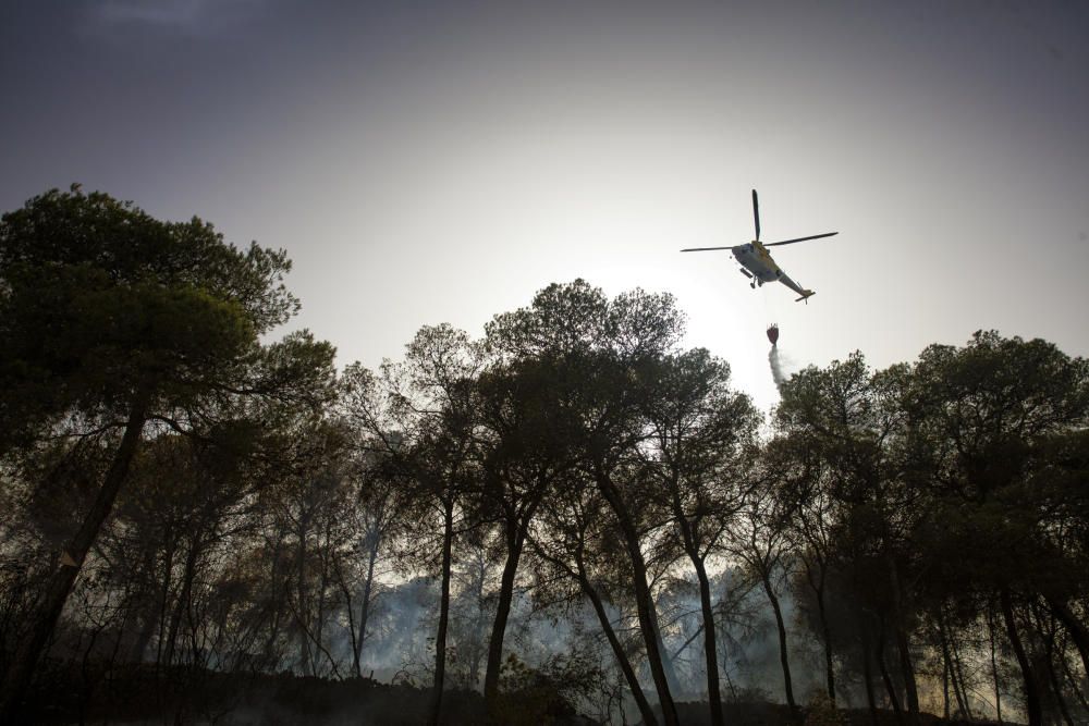 Alarma por un incendio forestal junto a la autopista de Llucmajor