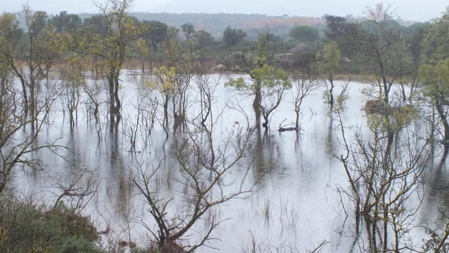 L&#039;estany que es vol protegir