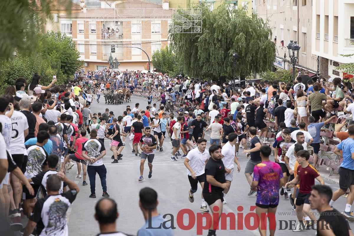 Fiestas de Moratalla/Séptimo encierro_019