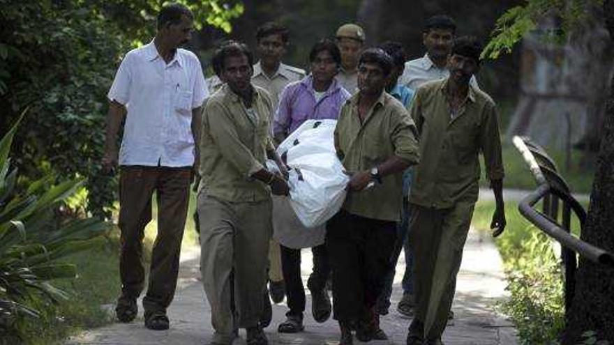 Un tigre mata a un joven en un zoo de la India tras mirarle durante 10 minutos