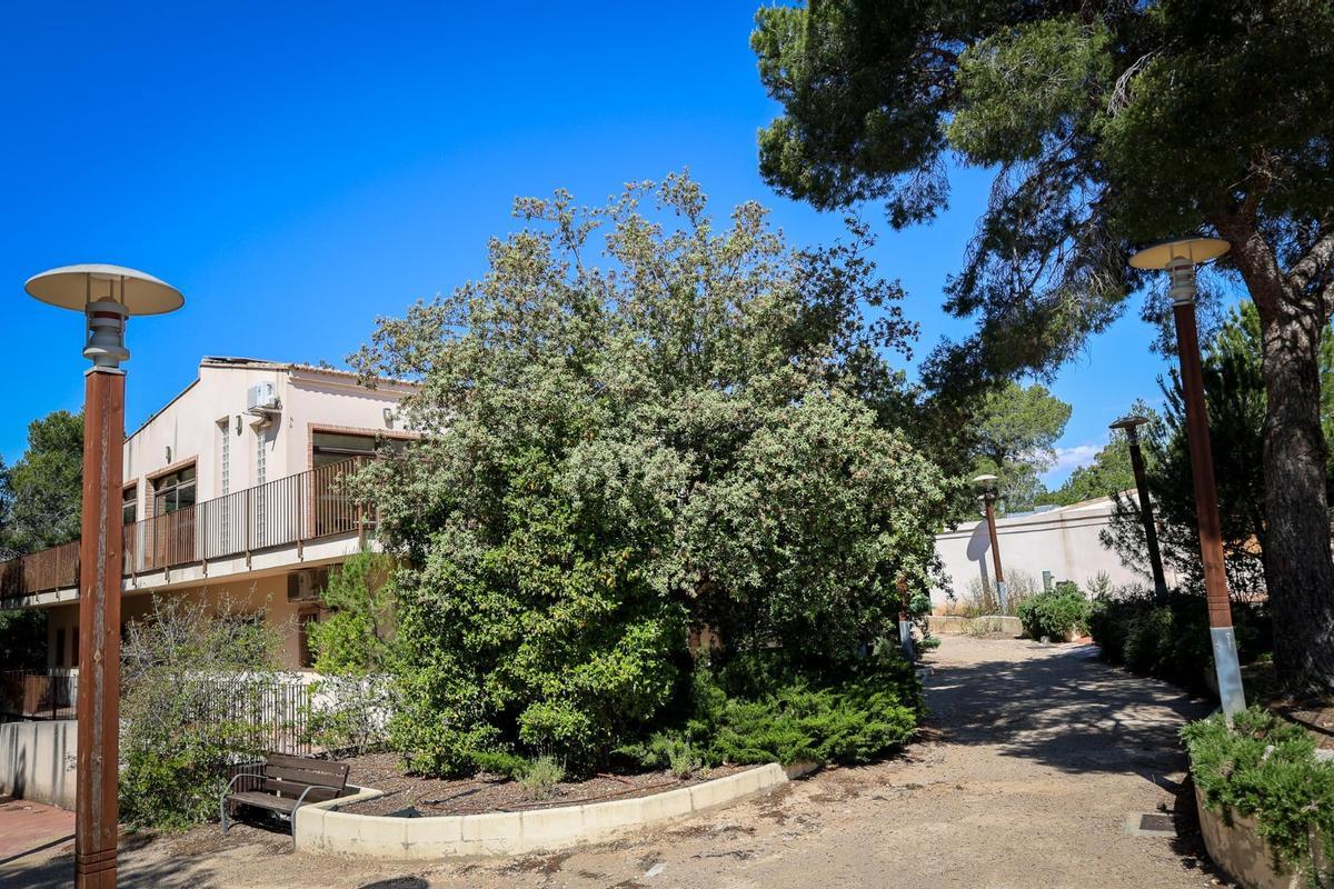 Centro El  Vedat de Torrent.