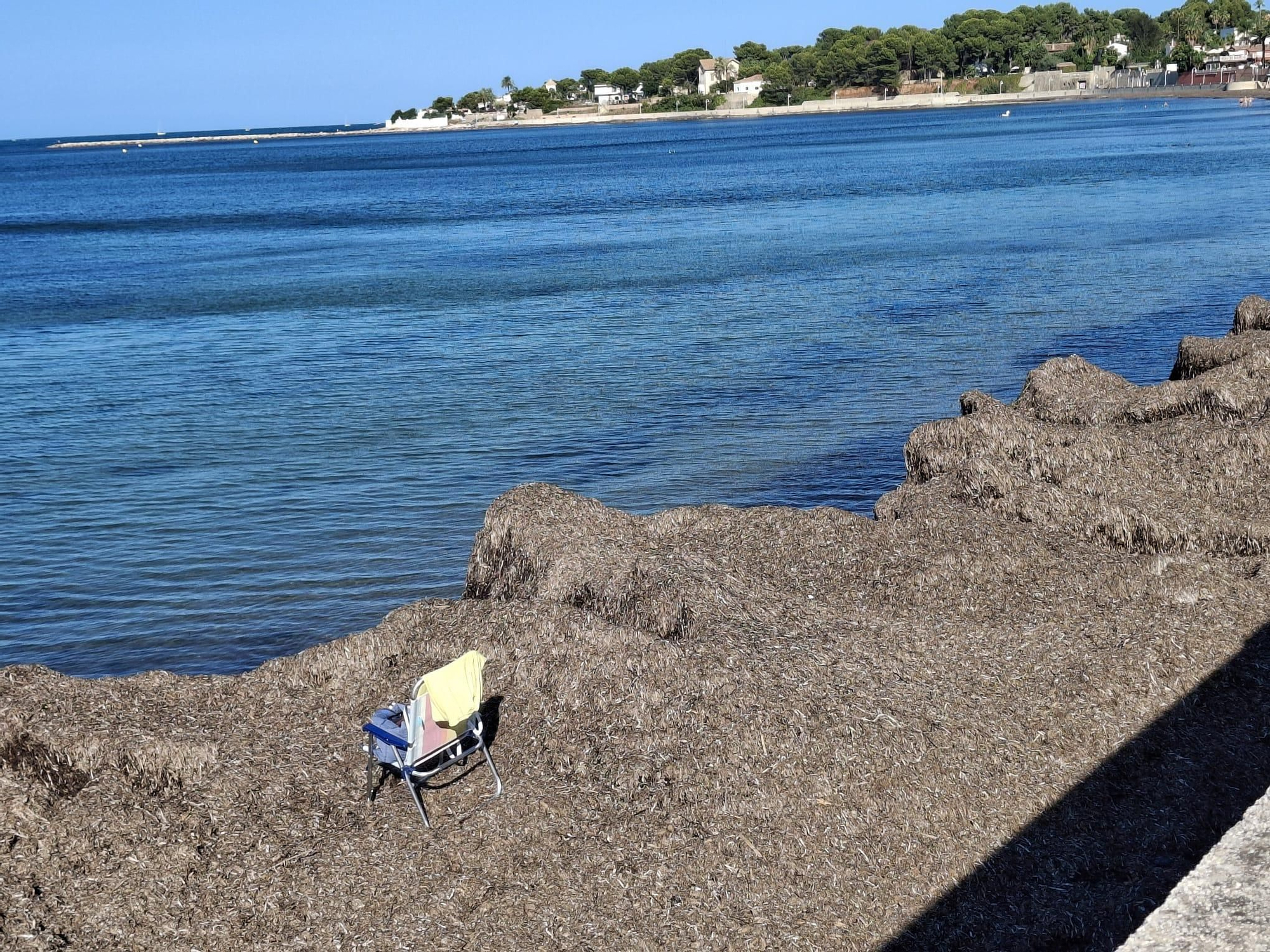 ¡Esto es vida!: manto de posidonia, aguas cristalinas y paz absoluta en la Marineta Cassiana de Dénia