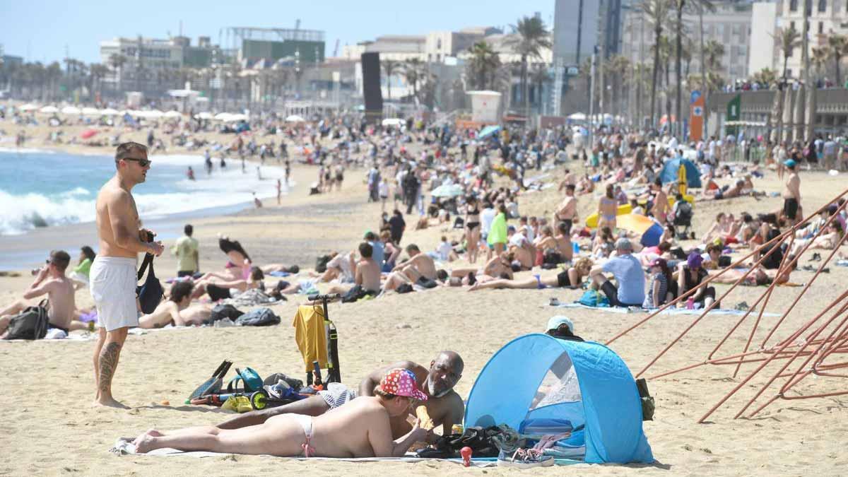 Gente tomando el sol y bañándose en la playa de la Barceloneta