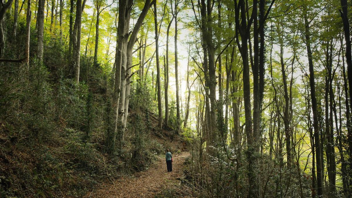 Una ruta de senderismo que te enamorará.