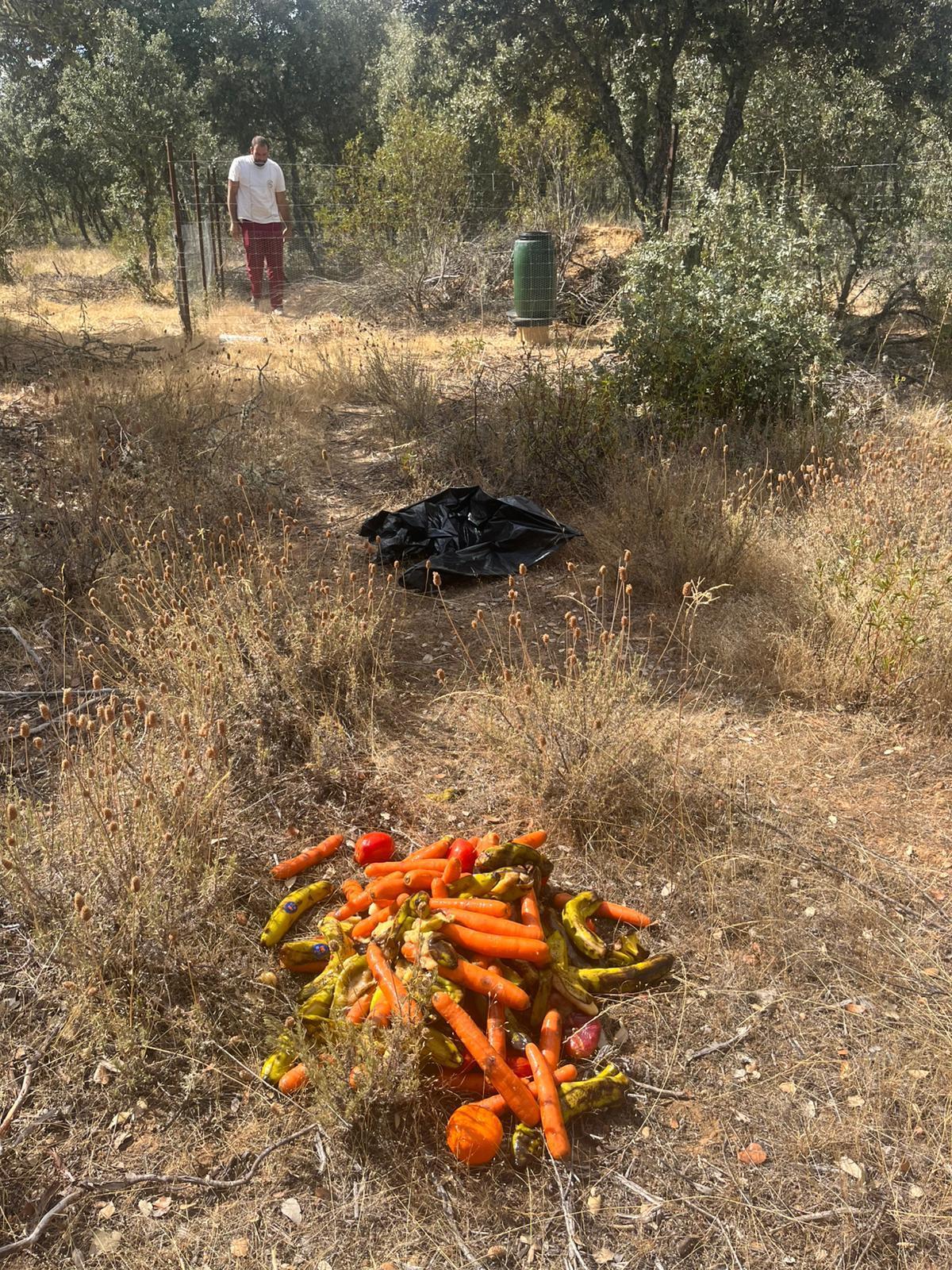 Fruta madura depositada para la fauna silvestre en los terrenos afectados pro el fuego en la provincia de Zamora.