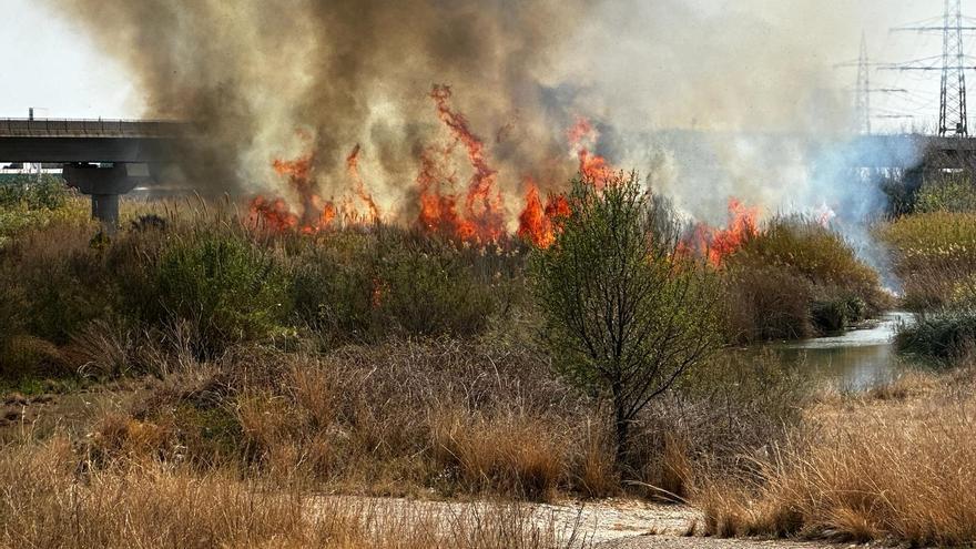 Nuevo incendio forestal en el río Millars entre Vila-real y Almassora
