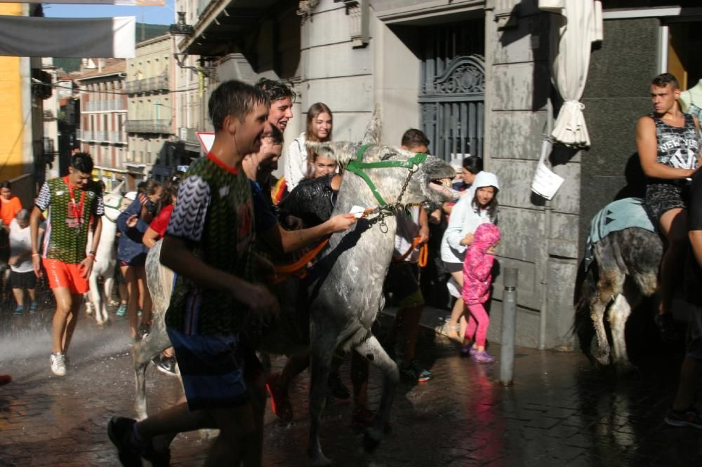 Festa dels Elois a Berga