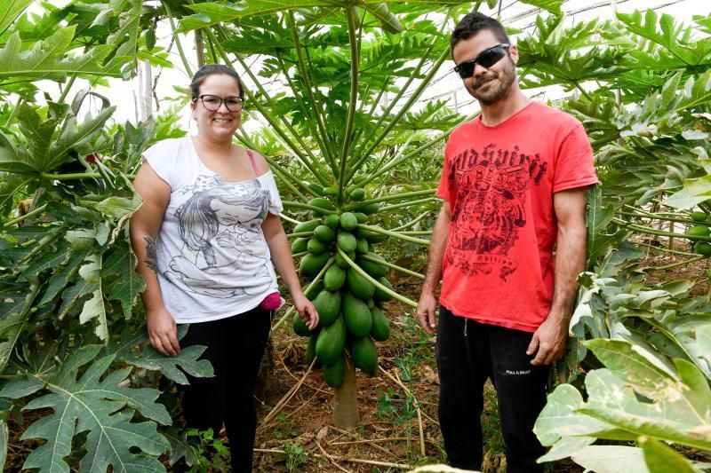 Dos jóvenes agricultores que cultivan, procesan y