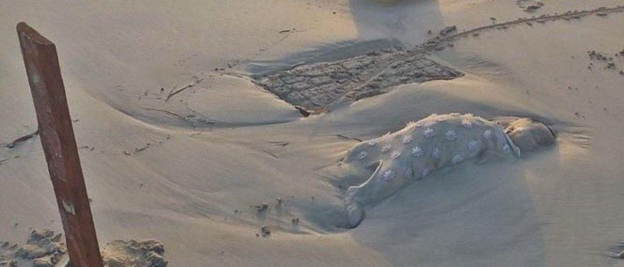 Cuerpo de un bebé en la playa