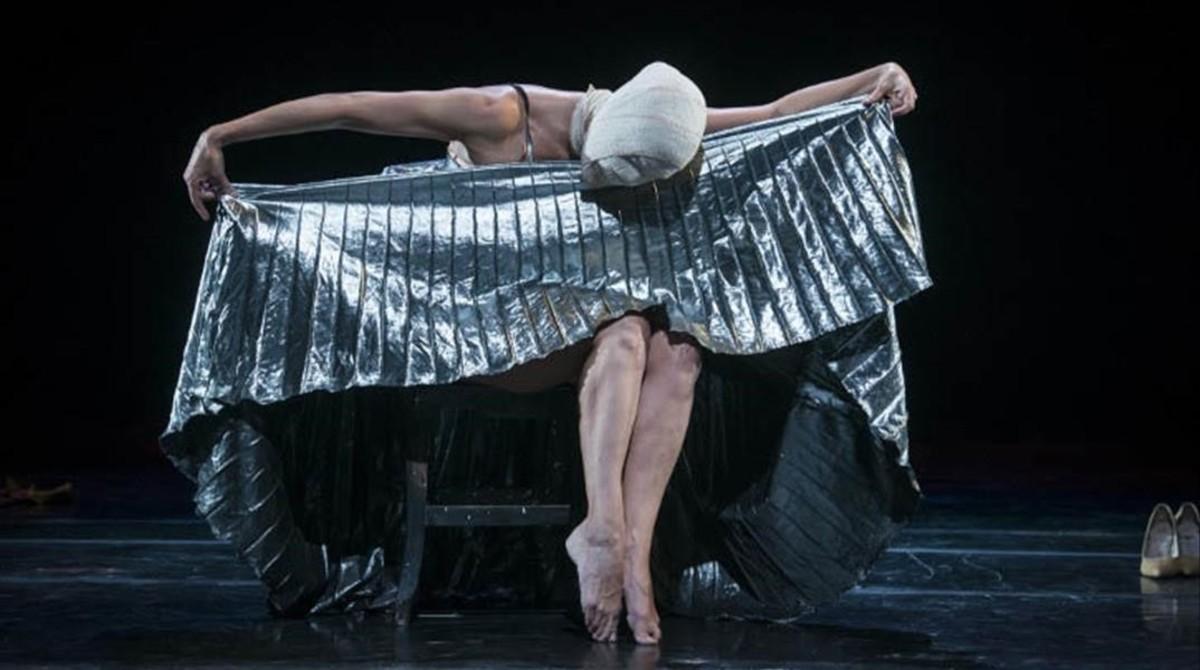 fcasals37335082 sismograf 2017 marta carasco170217181026