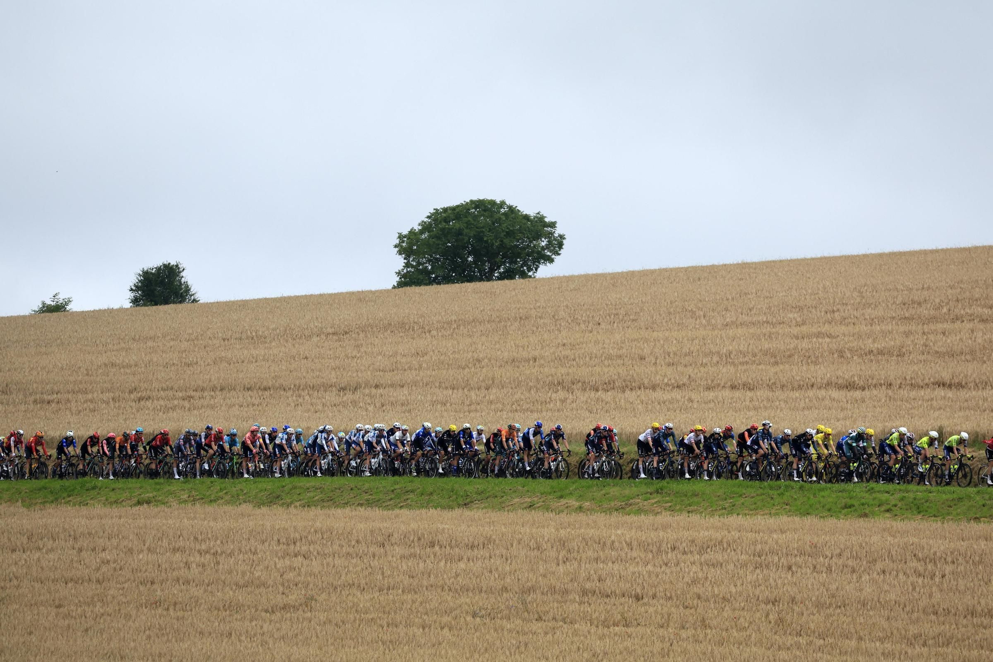 Tour de France 2024 - Stage 8
