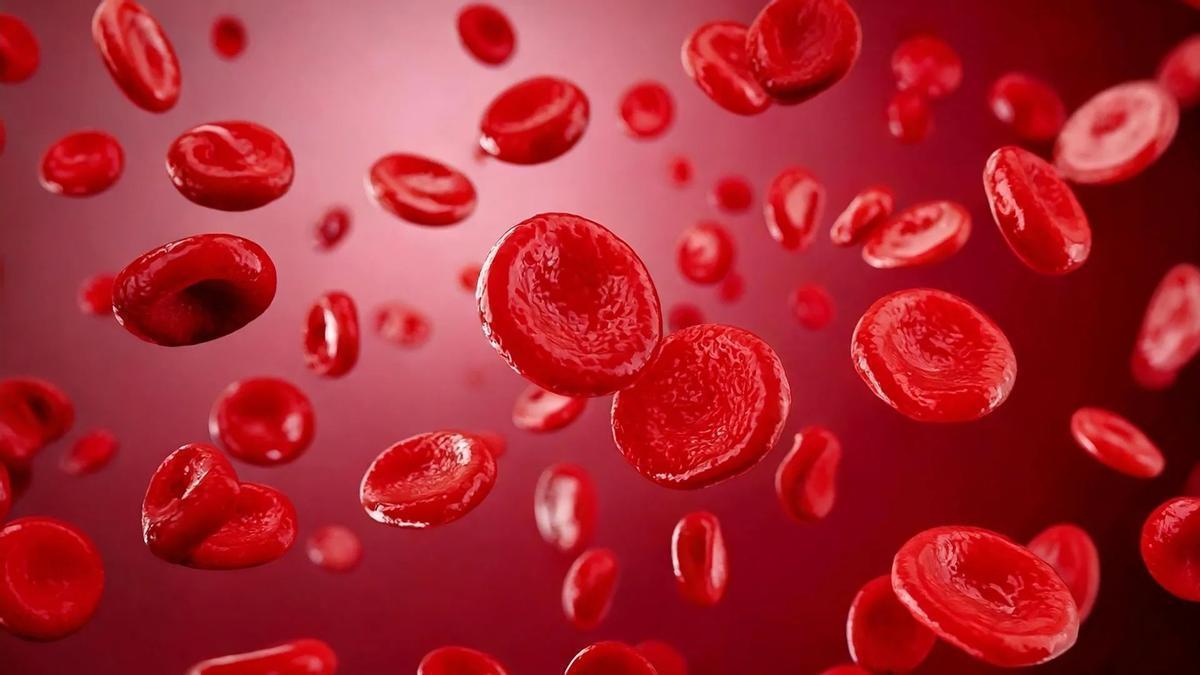 CO2 Y SANGRE | Descubren que las emisiones de CO2 también están alterando la sangre humana