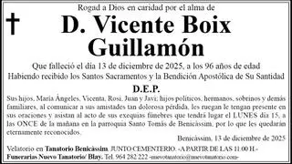 D. Vicente Boix Guillamón