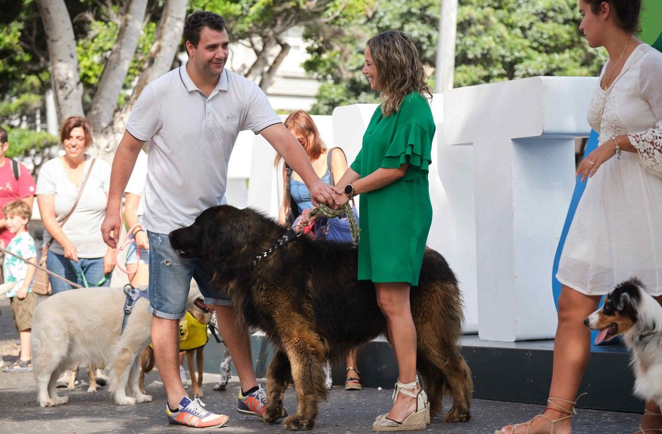 Día de los Animales en Santa Cruz