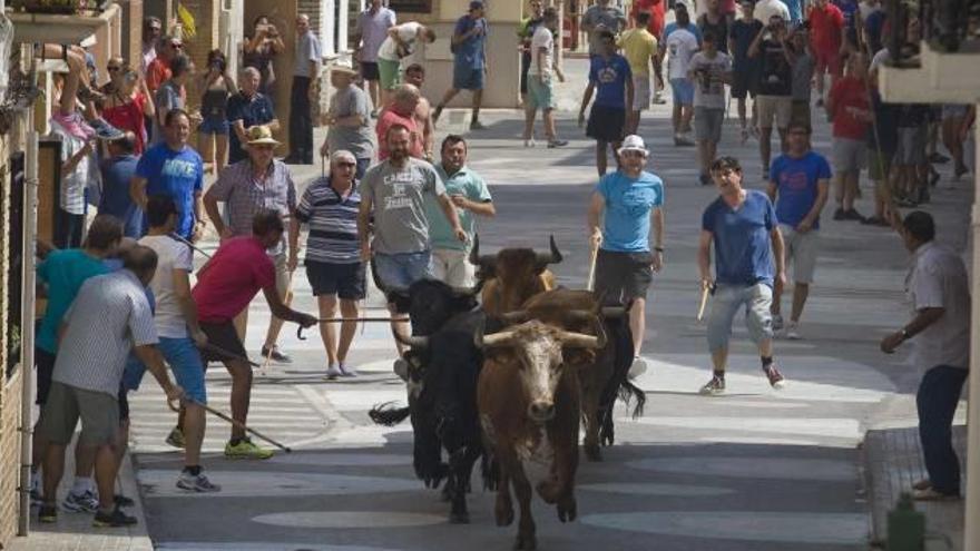 Canet unix la cultura i els actes populars en les festes patronales