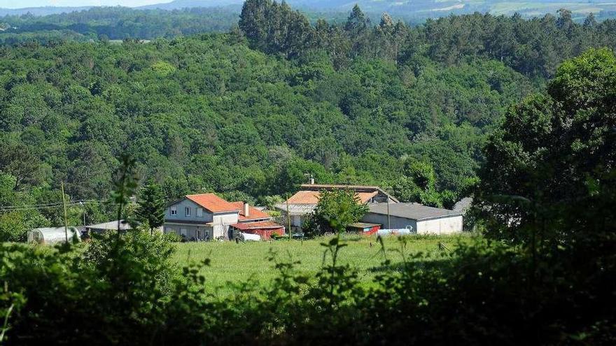 Un grupo de inmuebles en una aldea silledense. // Bernabé/Javier Lalín