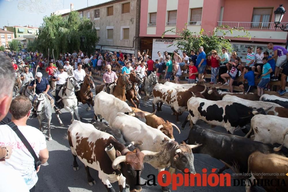 Quinto encierro en Moratalla