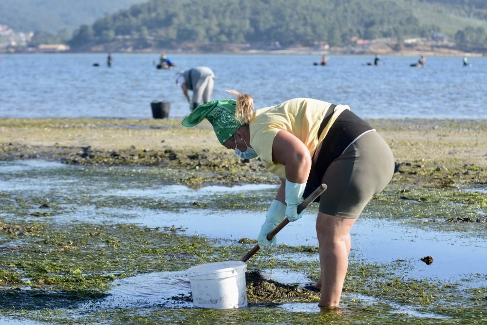 El marisqueo regresa a la ría de Pontevedra tras cuatro meses de parón