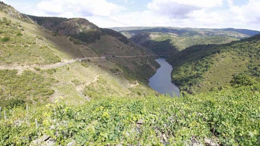 Vista de la Ribeira Sacra. // Jesús Regal