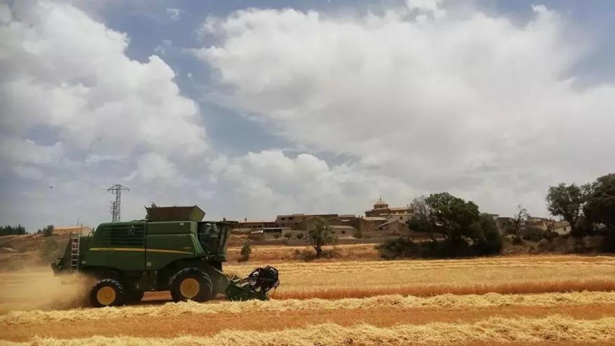 Imagen de archivo de una cosechadora en un campo aragonés, hace un par de campañas.