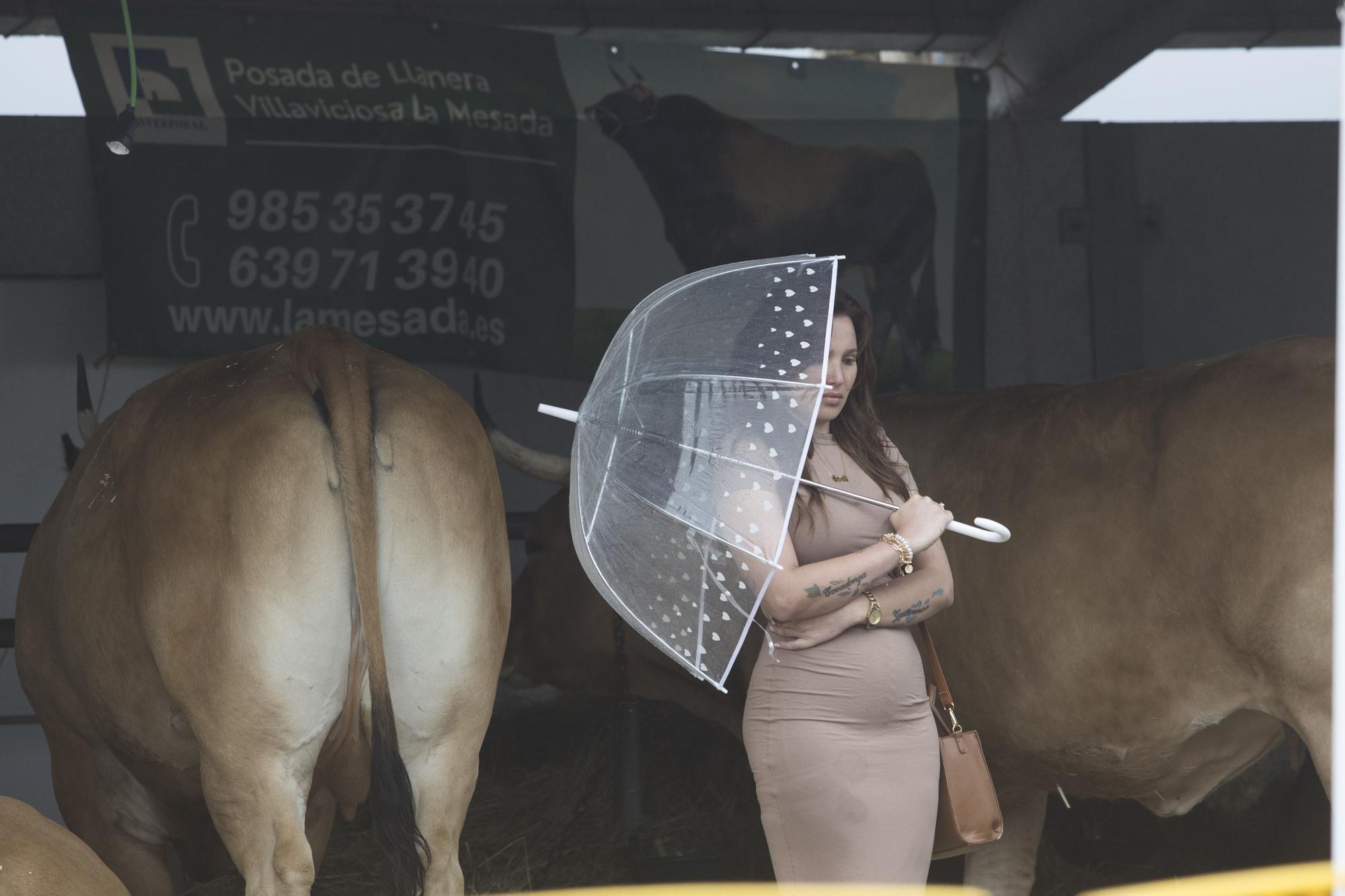 Feria Agroalimentaria de Productos Ecológicos de Llanera y Certamen Concurso Ganadero