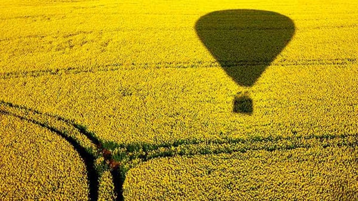 La silueta d¿un globus aerostàtic es dibuixa sobre un florit camp de colzes a prop de la ciutat de Jasdorf, al nord d¿Alemanya.