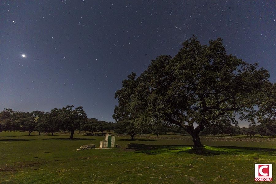 Los Pedroches, el cielos de las mil estrelas.