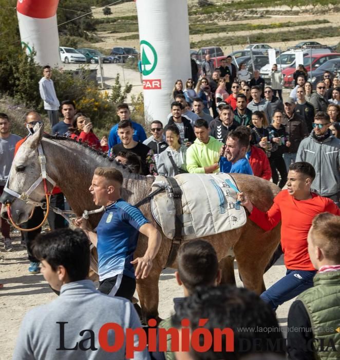 Carrera de entrenamiento de los Caballos del Vino