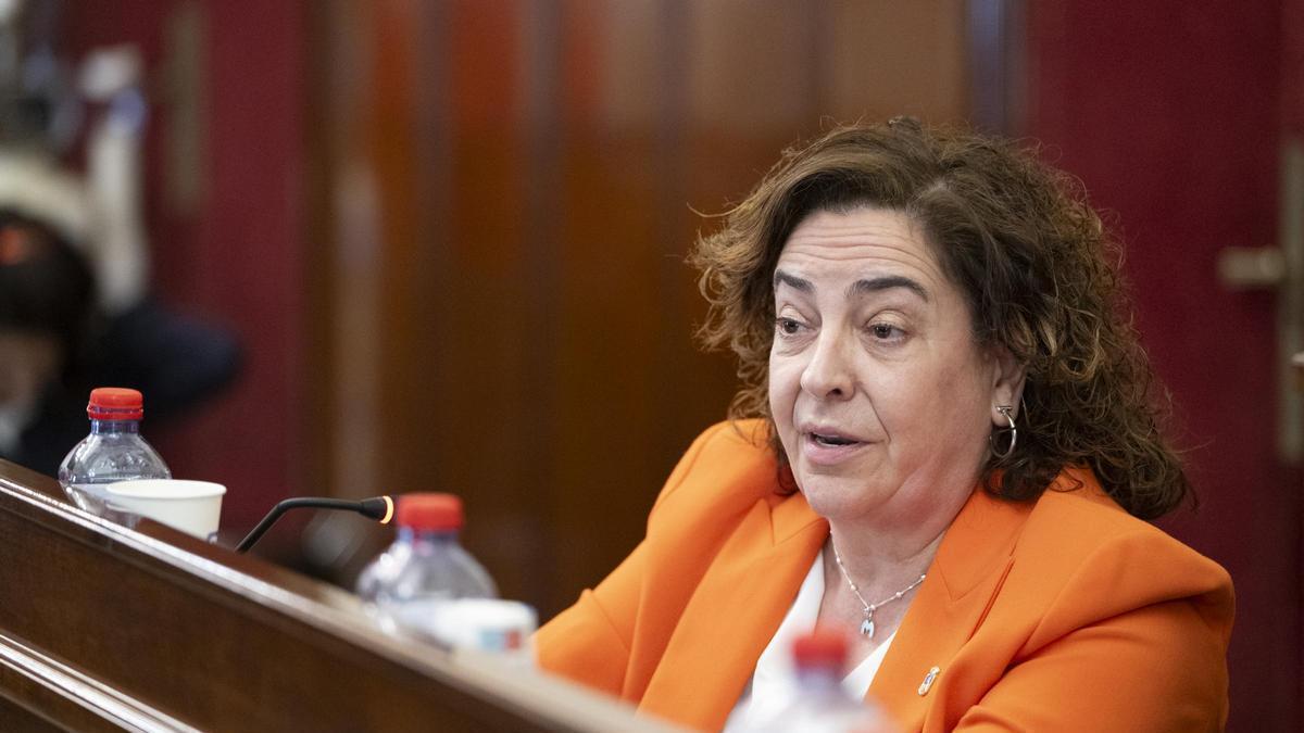 La diputada Marisa Torlá ha detallado la próxima iniciativa que llevarán al pleno en apoyo a la comunidad LGTBI en Castellón.
