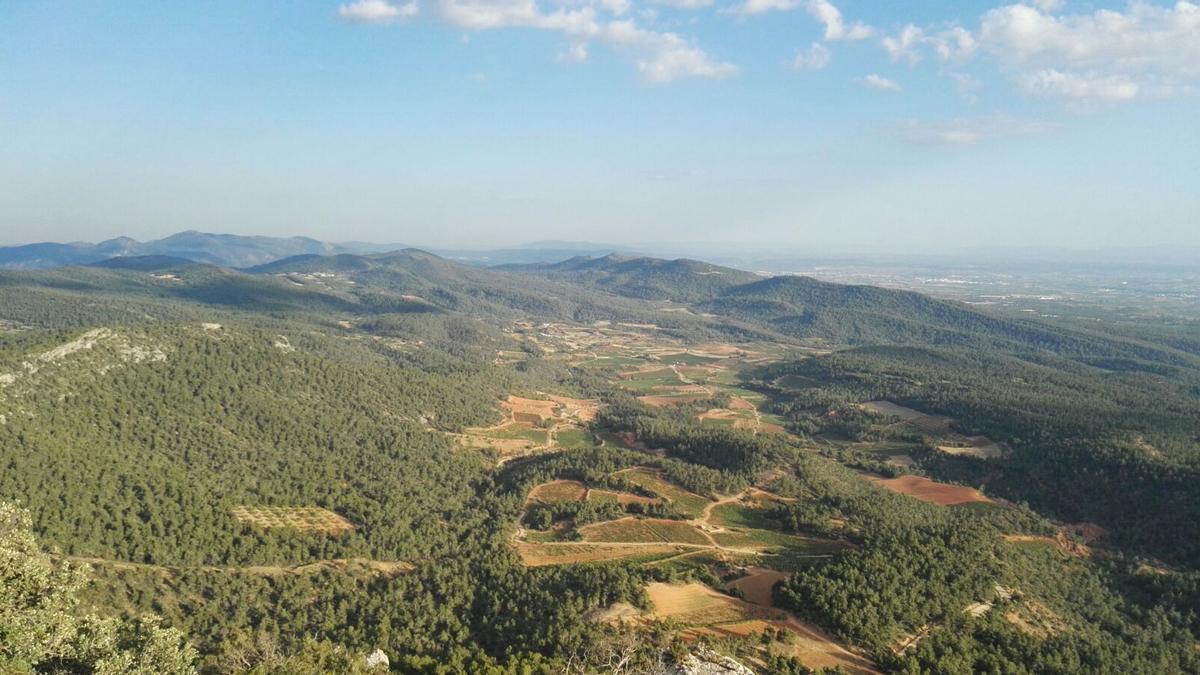 El entorno de Casa de Medina, en Utiel, donde está previsto instalar aerogeneradores dentro de la zona 9 del Plan Eólico de la Comunitat Valenciana