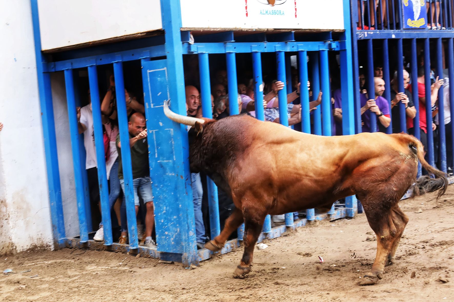 Las fotos de la tarde taurina del último sábado de fiestas de Almassora