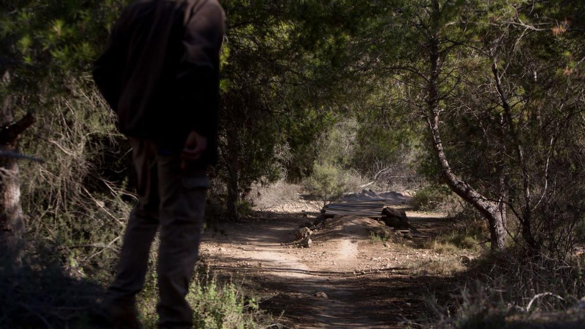 Entornos donde conviven la caza y actividades como el senderismo y el ciclismo, como Orgegia, las lagunas de Rabasa, zonas del Vinalopó o la Serra Gelada.  | JOSE NAVARRO/ALEX DOMÍNGUEZ/PÉREZ GIL/DAVID REVENGA