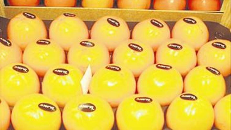 Naranjas amarillas con más antioxidantes que nunca