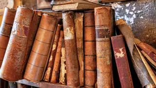 Cándida, vecina de Barcarrota, Badajoz: "En una reforma de una casa de mi pueblo encontraron unos libros, era una edición desconocida del Lazarillo de 1594"