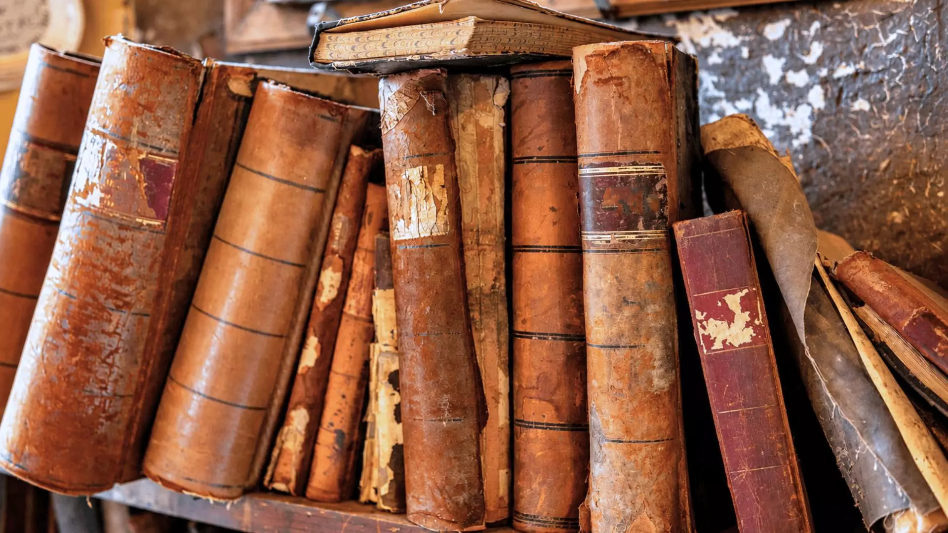 Cándida, vecina de Barcarrota, Badajoz: "En una reforma de una casa de mi pueblo encontraron unos libros, era una edición desconocida del Lazarillo de 1594"