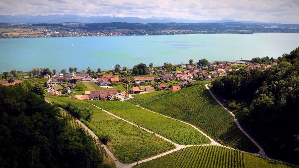 Friburgo y Vaud son la primera región vinícola del país