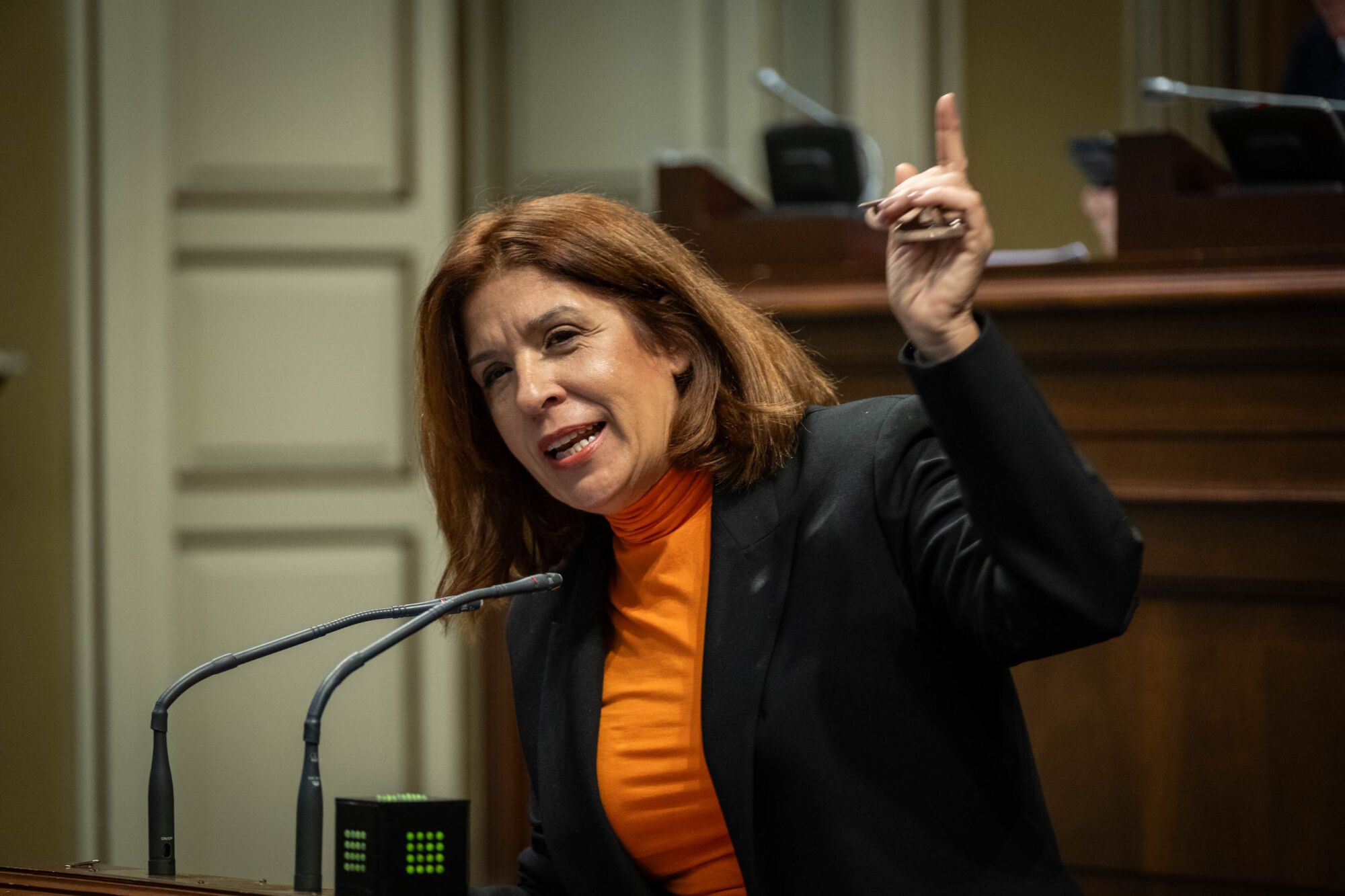 Pleno del Parlamento de Canarias  (26/03/2025)
